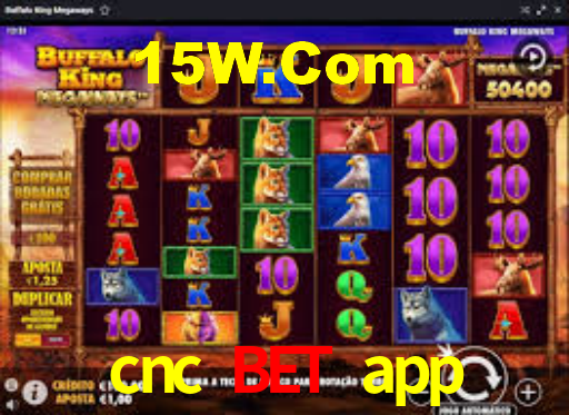 Sinta a adrenalina dos jogos de cassino com cnc bet app