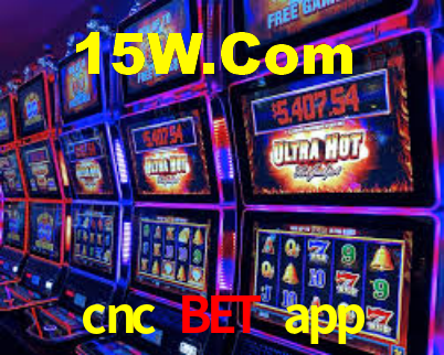 Segurança e privacidade no APP cnc bet app