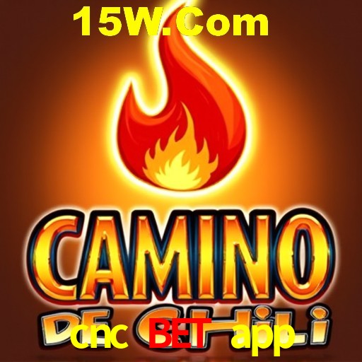Game Providers cnc bet app