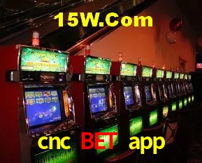 Estatísticas do Jogo cnc bet app