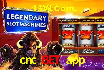 Jogos populares e pagamentos rápidos na cnc bet app