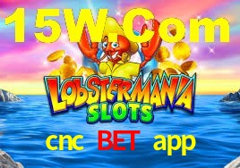Premium Interface cnc bet app